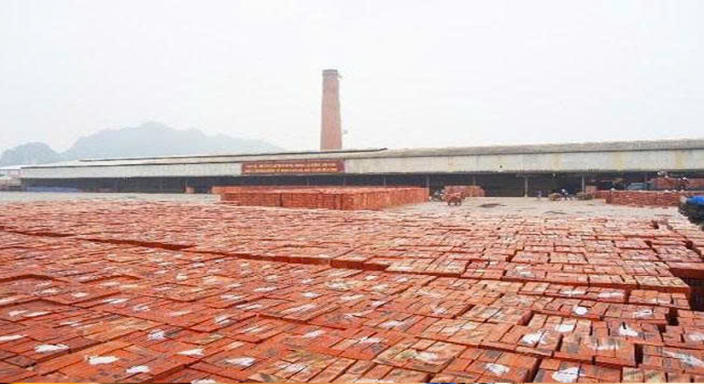 Kinh nghiệm chọn mua gạch tuynel chất lượng tại Thanh Hóa